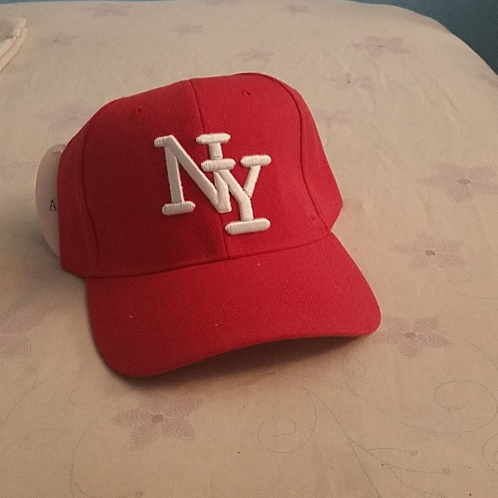 Brand new NY Hat